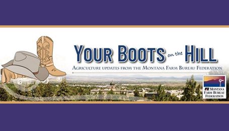 Boots on the Hill: Week 12 – Taxes, water and wildlife