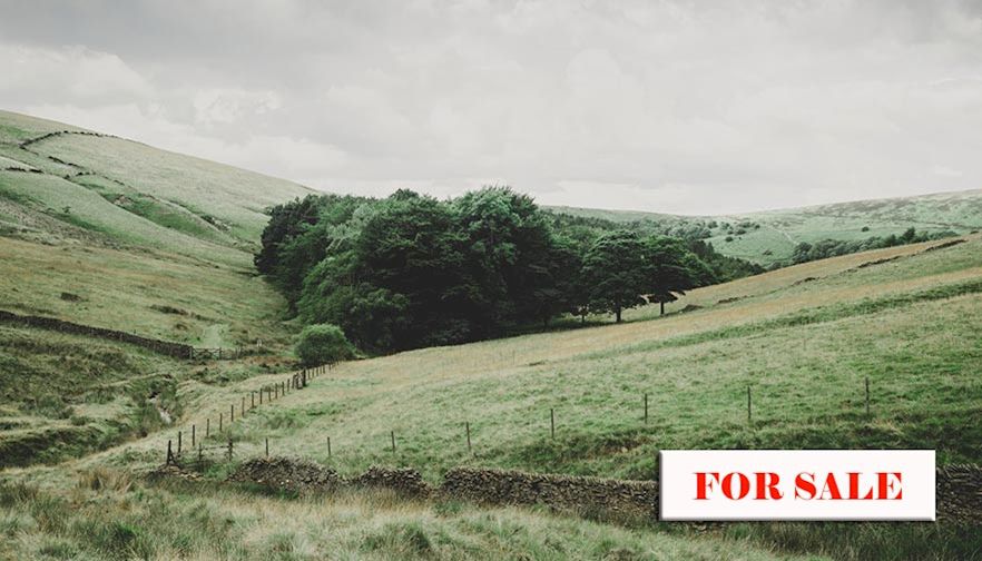 Beginning farmer workshop advises on land purchase preparedness