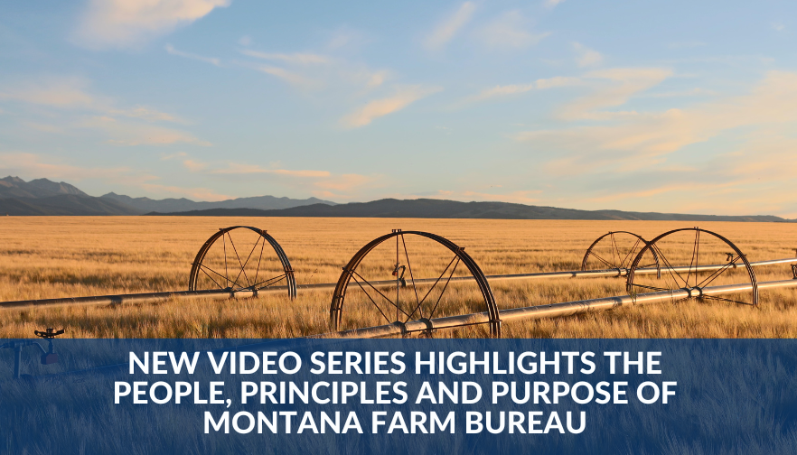 New video series highlights the people, principles and purpose of Montana Farm Bureau 
