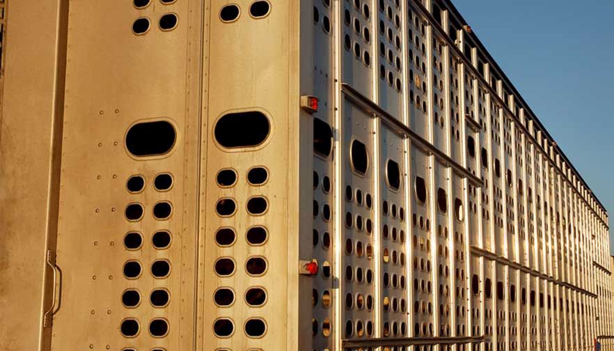 Farm Bureau still concerned about trucking mandates, pleased with waiver