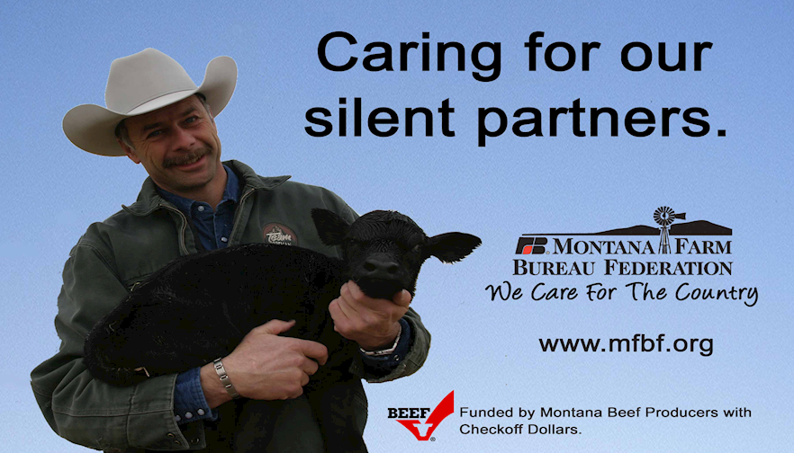 Caring for Our Silent Partners