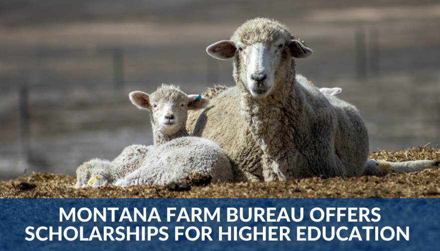 Montana Farm Bureau offers scholarships for higher education 