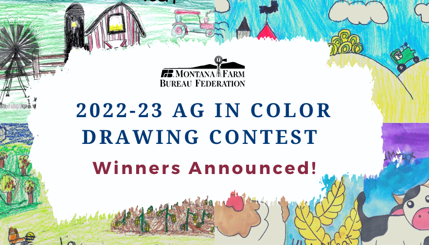 Winners of Montana Ag in Color Drawing Contest announced