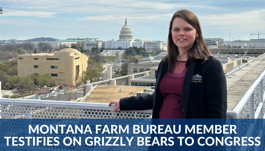 Montana Farm Bureau member testifies on Grizzly Bears to Congress