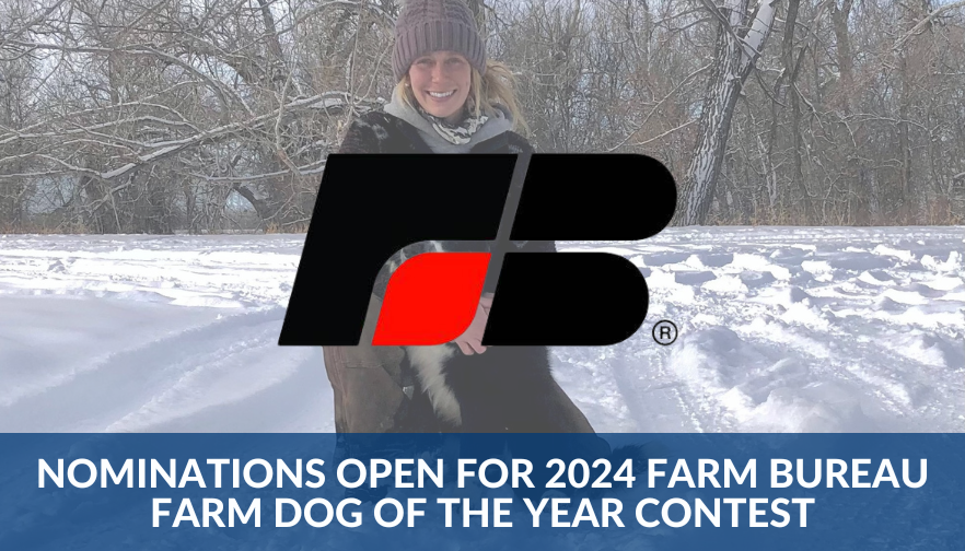 Nominations Open for 2024 Farm Bureau Farm Dog of the Year Contest