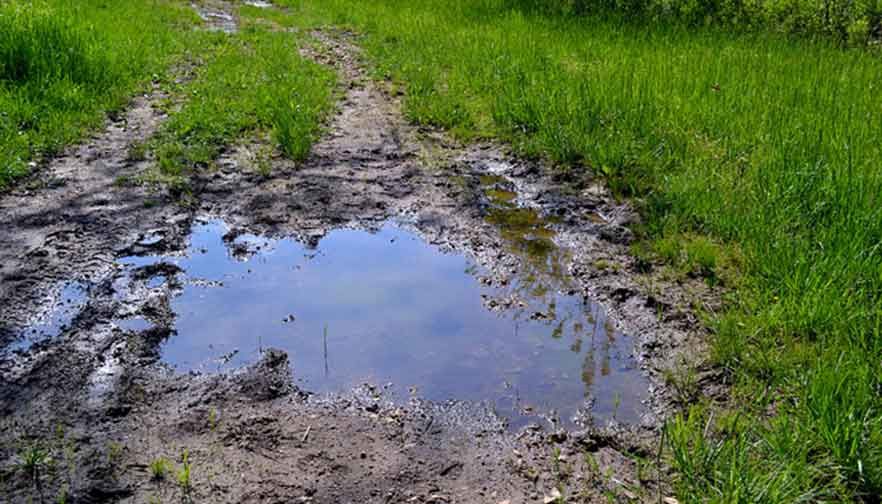 WOTUS Ruling