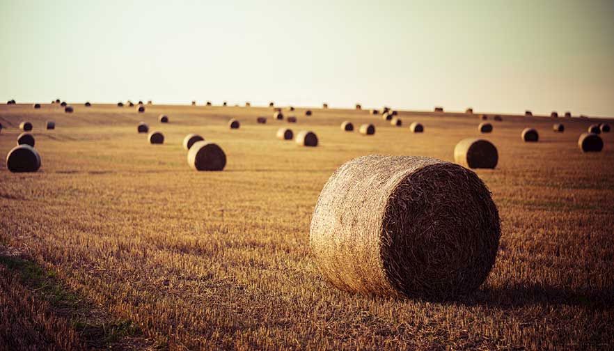 Minnesota Farm Bureau members donating hay to Dawson County Montana