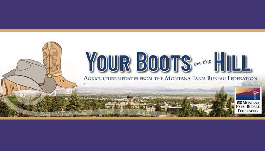 Boots on the Hill: Week 11 Board Appointees, Water and Ag Vehicles 