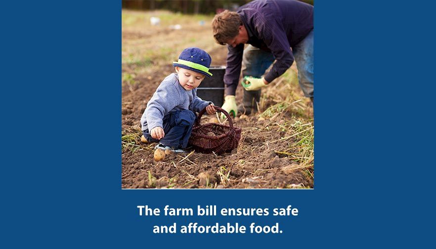 Farm Bill Good for Consumers