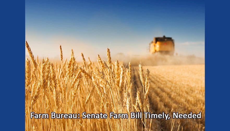 Montana Farm Bureau praises Senate passage of farm bill   