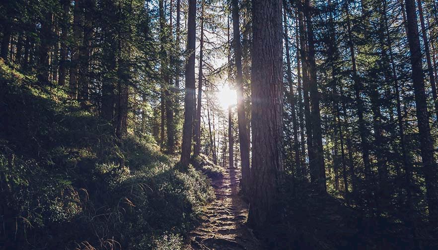 Environmental Litigation Reform Needed