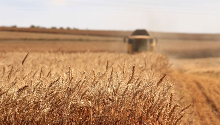 Montana Farm Bureau extremely pleased with Farm Bill signing
