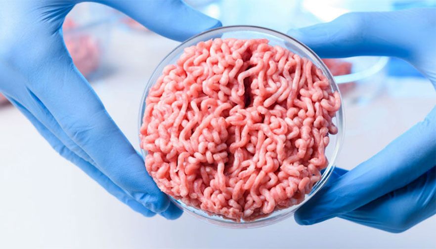 Cell-cultured products regulations, labeling discussed in D.C., Helena