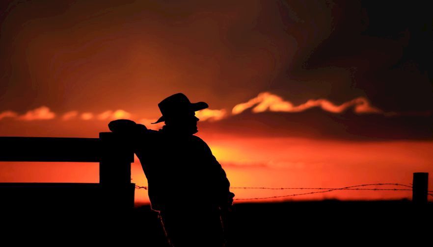 Farm families weighed down by stress