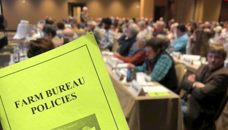 Montana Farm Bureau policy for 2020 includes CSKT support, Grizzly bear management, workforce training