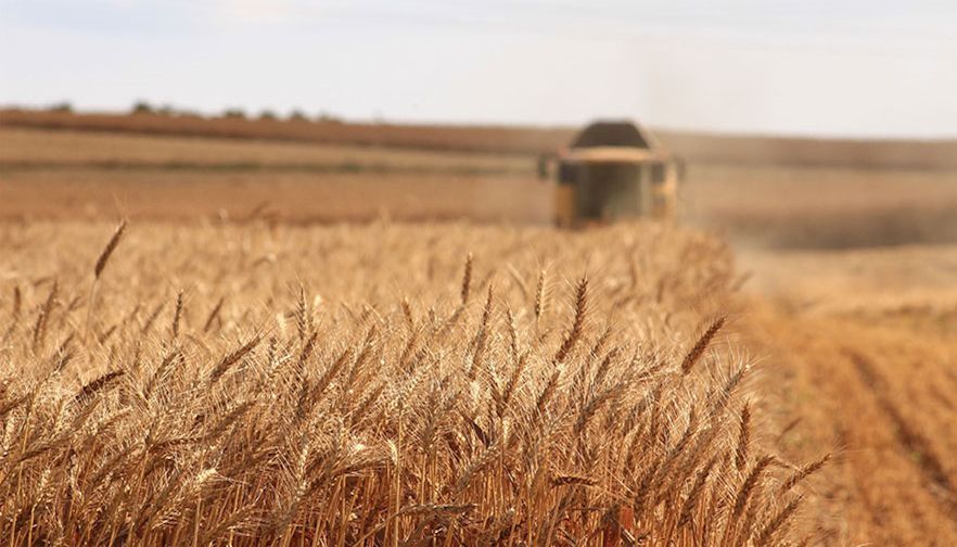 Farm Bureau to address mental health concerns, farmer stress
