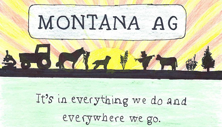 Winners of 2020 Montana Ag in Color Drawing Contest Announced