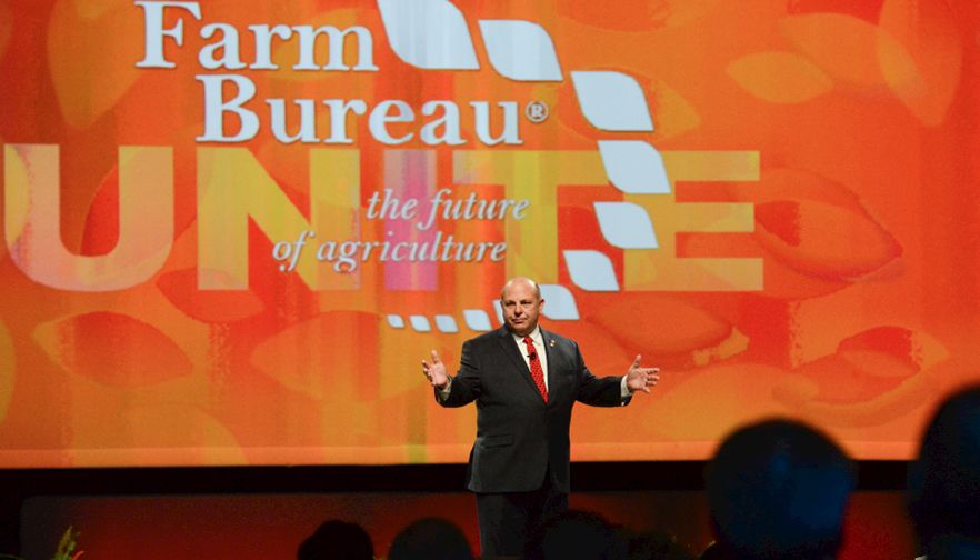 Agricultural business: protecting yourself from crisis