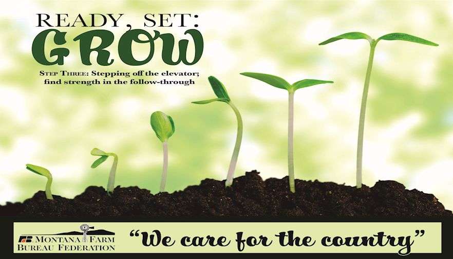 Ready, Set, Grow Pt. 3