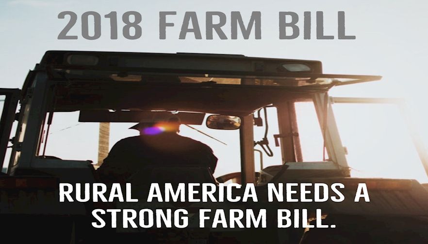 Issue Update: Farm Bill Follies