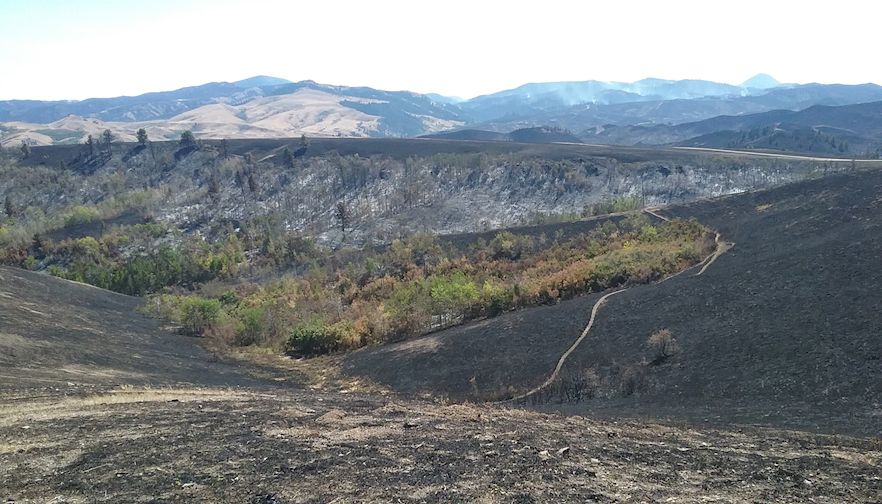 Where There’s Smoke There’s Fire—and a Bill to Pay