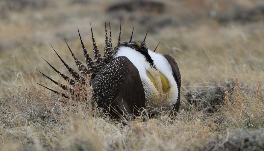 Balancing Conservation and Rural Development