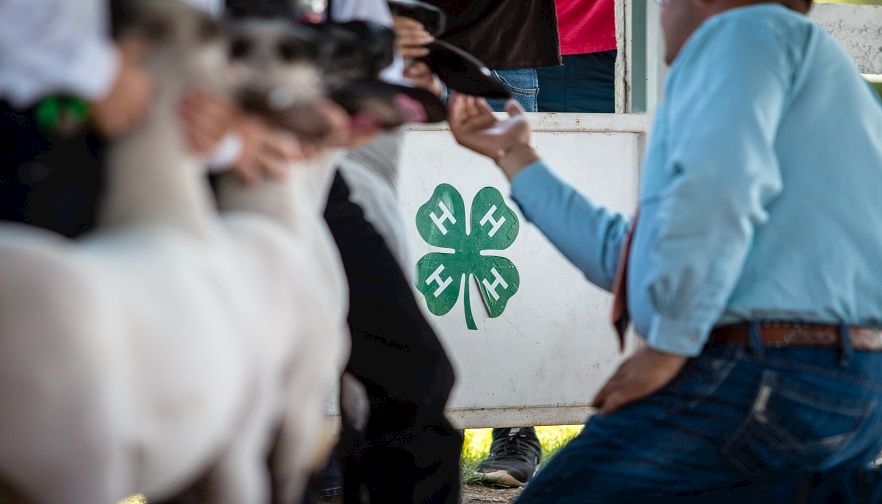 Farm Bureau and 4-H: A Winning Combination