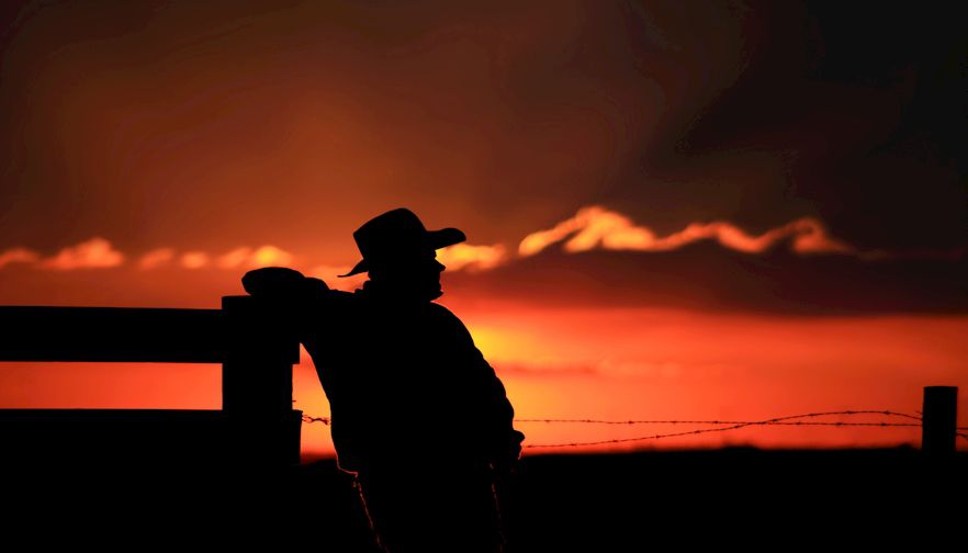 Despair in Montana: The Sad Story of Farmer Suicide Part 2