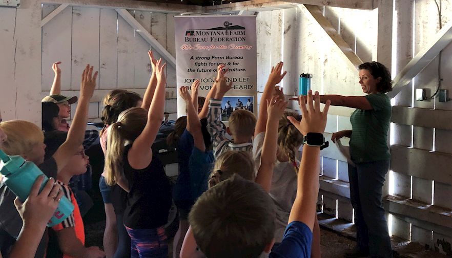 Hosting a community agriculture event? Your simple how-to guide. 