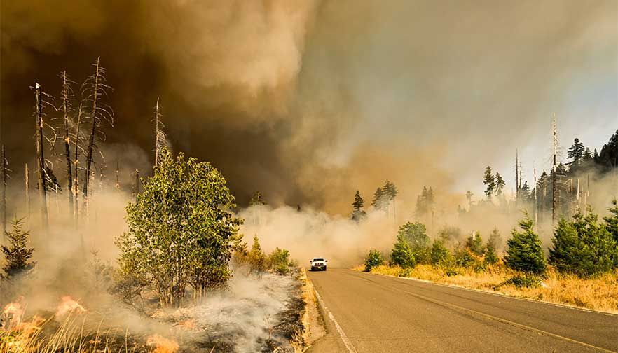 Farm Bureau coalition urges support of wildfire bill