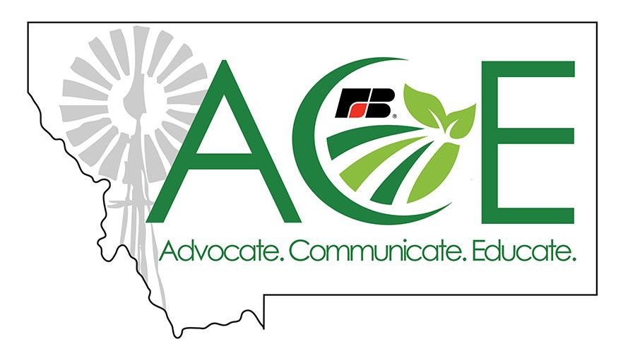 New ACE program participants announced