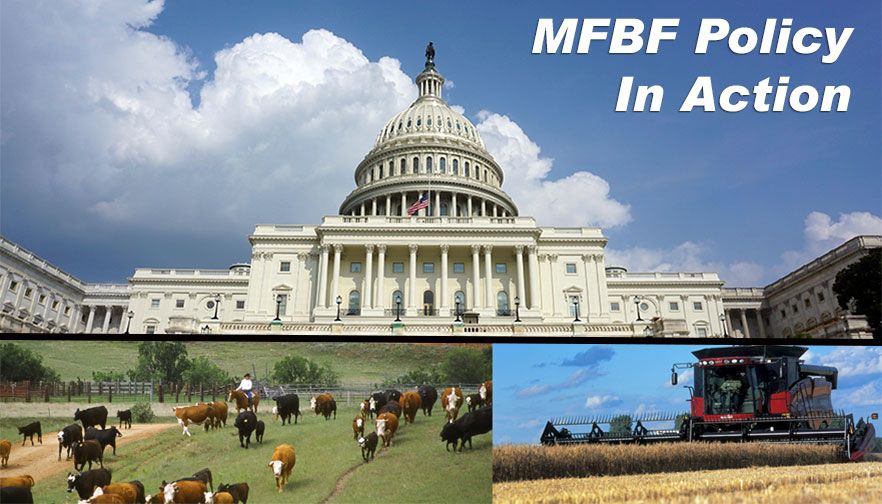 Montana Farm Bureau members attend virtual national committee meetings
