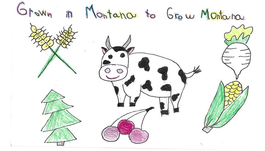 Winners of Montana Ag in Color Drawing Contest announced