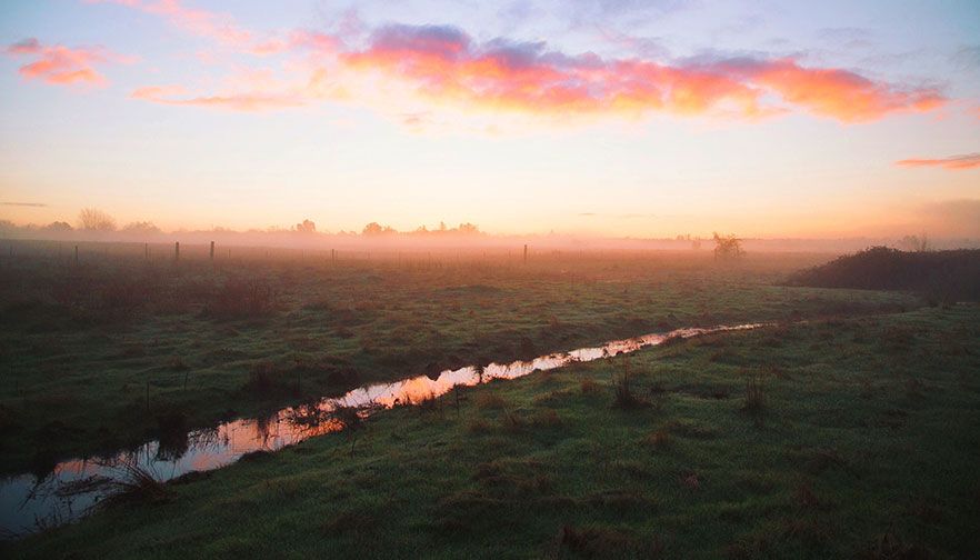 Water Rule Reversal a Blow to Agriculture