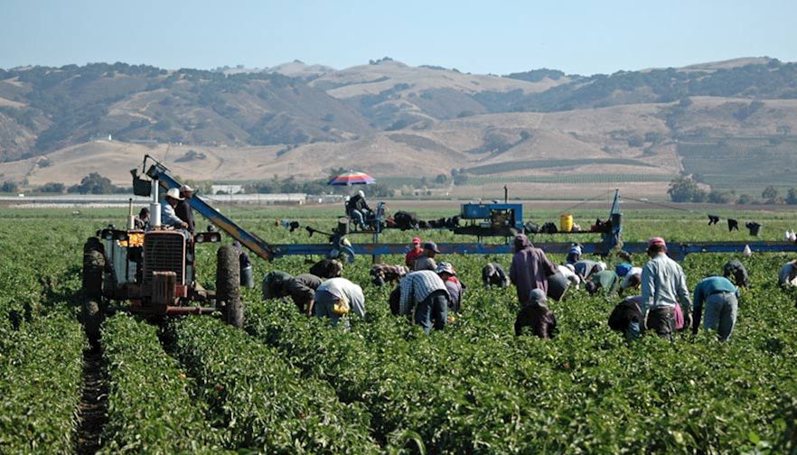 Worker Shortage Threatens U.S. Ag Sustainability