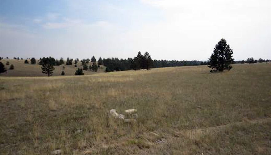 Farm Bureau applauds decision notice to hay or graze wildlife management areas - Urges eligible producers to apply by Sept 1 deadline.