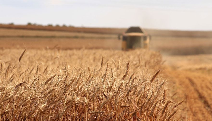 Grain Trade