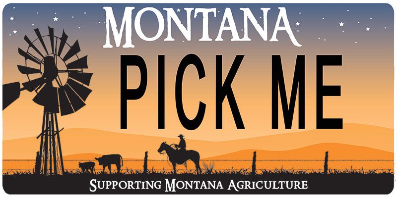 MFBF Licence Plate